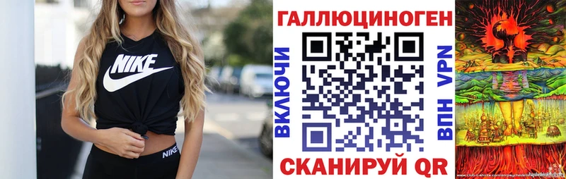 Галлюциногенные грибы Psilocybe  купить закладку  Ярославль 